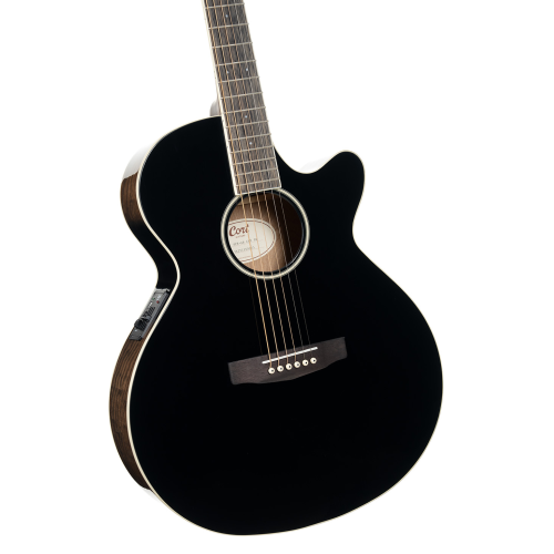 Cort Exotic-SFX Ash Black Gloss