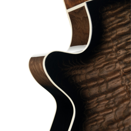 Cort Exotic-SFX Ash Black Gloss