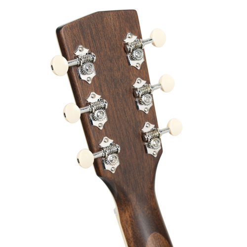Cort Exotic-SFX Ash Black Gloss