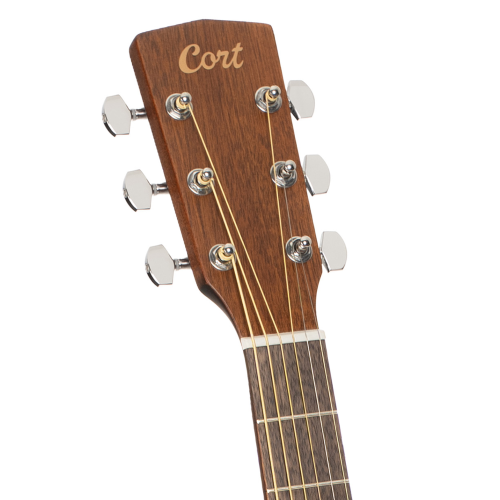 Cort L60M Open Pore