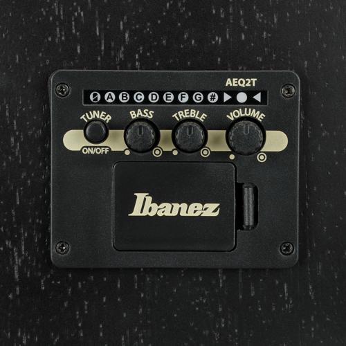 Ibanez V44CE WK