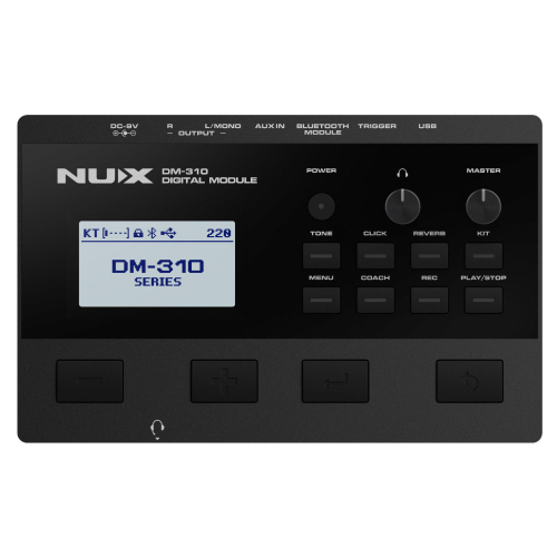 NUX DM-310