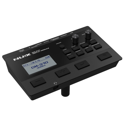 NUX DM-310