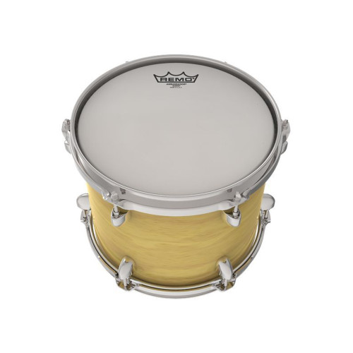 Remo Ambassador BA081000 10''