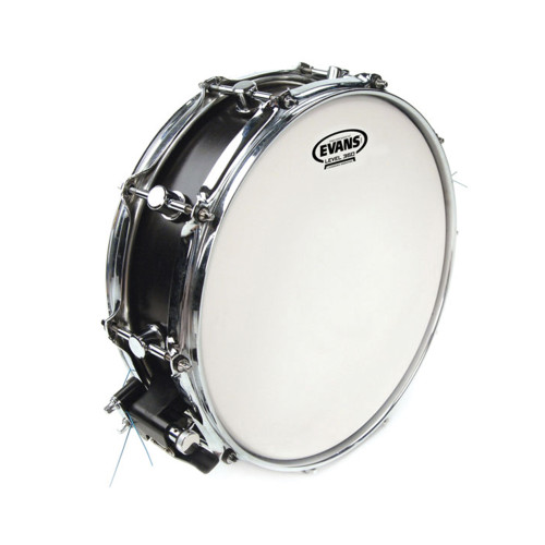 Evans B12G1RD