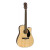 Fender CD-60SCE WN BK