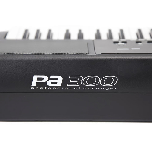 Korg PA300