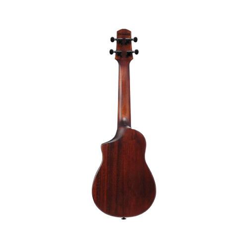 Ibanez AUC14 OVL