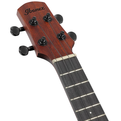 Ibanez AUC14 OVL