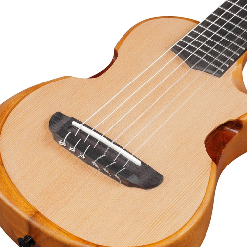Ibanez AUP10N OPN