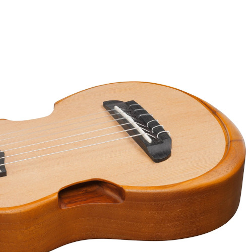 Ibanez AUP10N OPN
