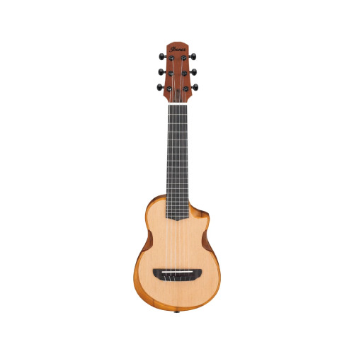 Ibanez AUP10N OPN