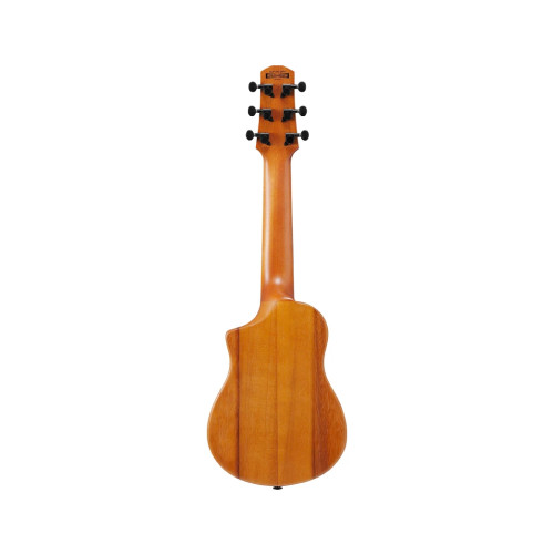 Ibanez AUP10N OPN
