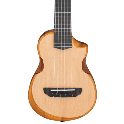 Ibanez AUP10N OPN