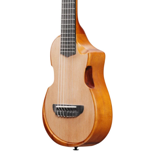 Ibanez AUP10N OPN