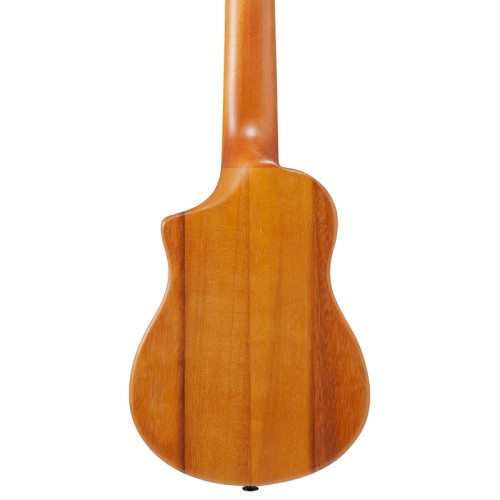 Ibanez AUP10N OPN