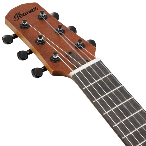 Ibanez AUP10N OPN
