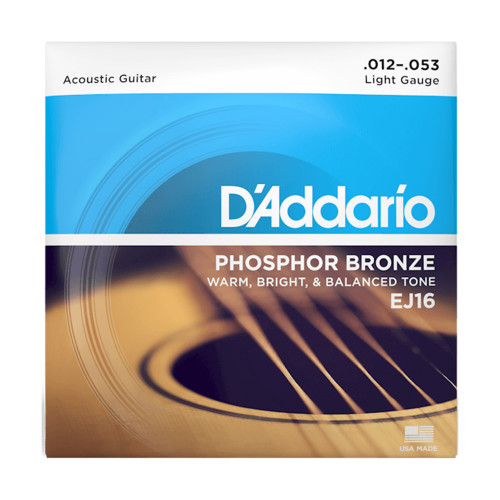 D'Addario EJ16