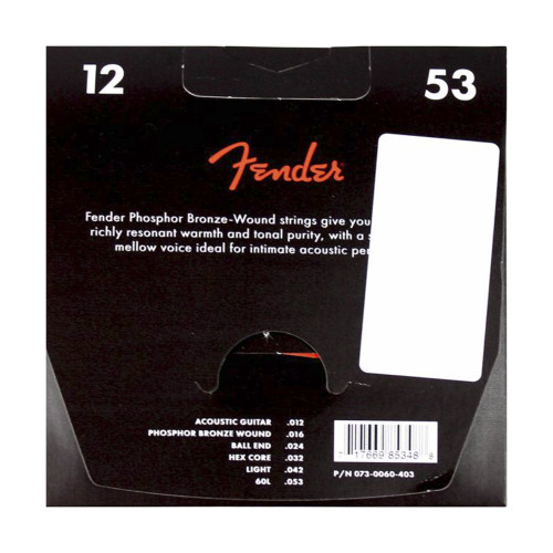 Fender 60L
