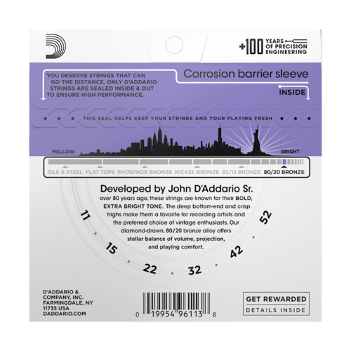 D'Addario EJ13
