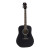Cort AD810E OP
