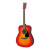 Yamaha F310 NAT