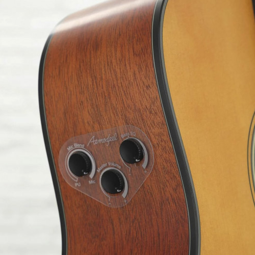 Yamaha FGX5