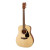 Yamaha F310 TBS
