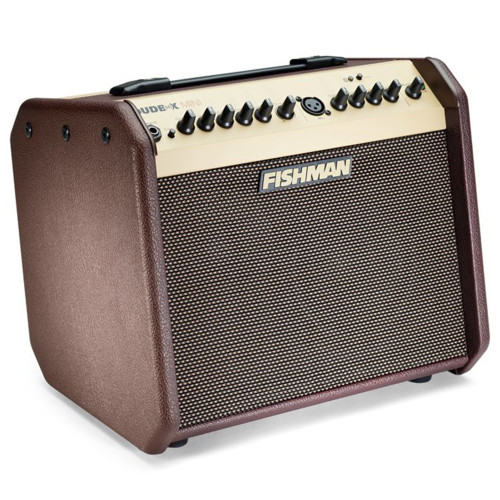 Изображение комбоусилителя Fishman Loudbox Mini 60 BT - Front Left Side View | Leader Promusic