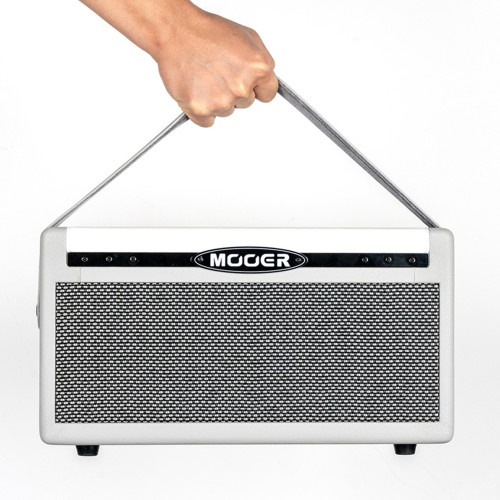 Mooer SD30I