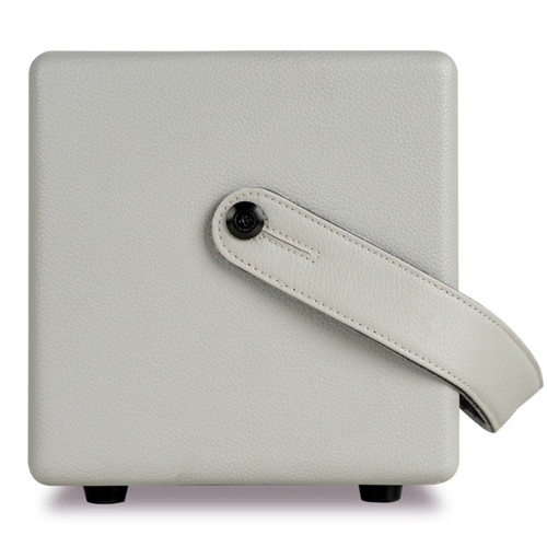 Mooer SD30I