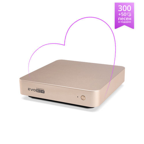 Изображение караоке-системы Evolution Evobox Gold – Left Front Side View | Leader Promusic