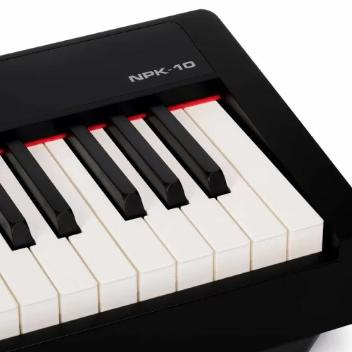 NUX NPK-10-B