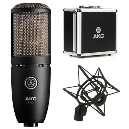 AKG P220