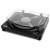 ION Air LP Wood