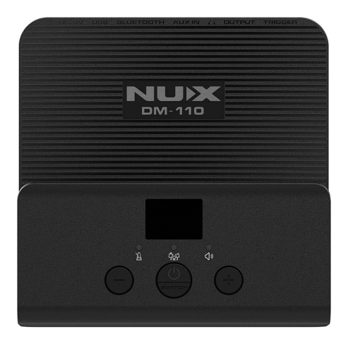 NUX DM-110