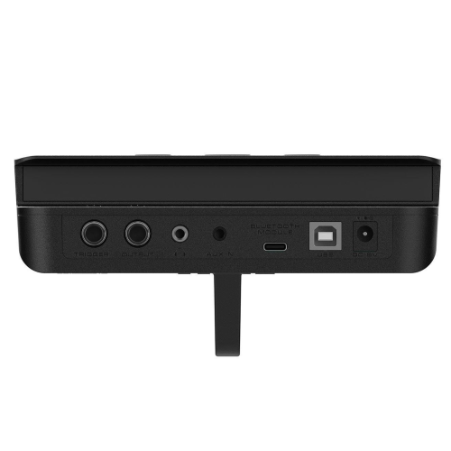NUX DM-110