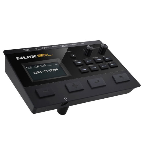 NUX DM-310H