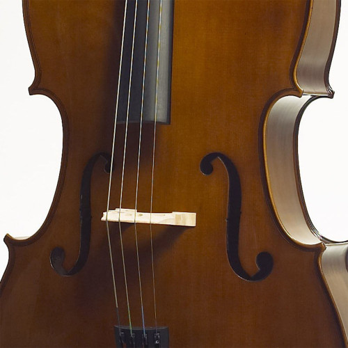 Stentor Student II cello outfit 1108/A