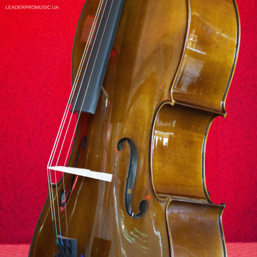 Stentor Student II cello outfit 1108/A
