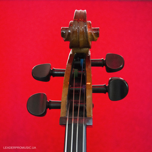 Stentor Student II cello outfit 1108/A