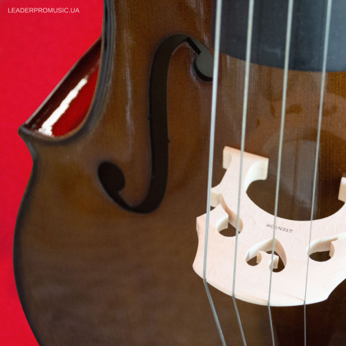 Stentor Student II cello outfit 1108/A